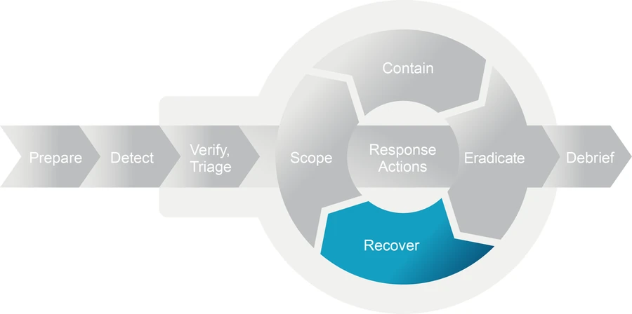 The model with the Recover segment of the loop highlighted.