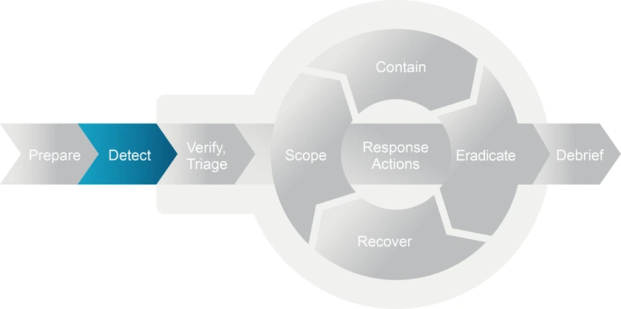 The model with the Detect chevron highlighted.