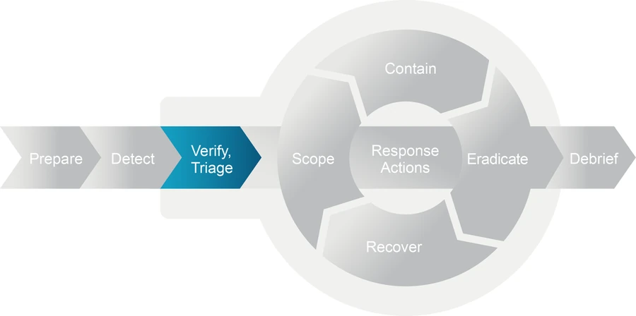 The model with the Verify, Triage chevron highlighted.