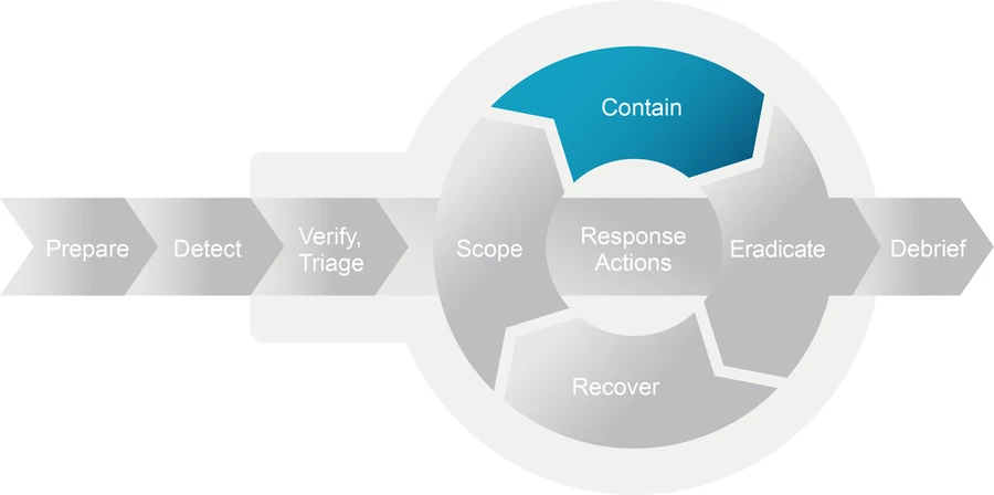 The model with the Contain segment of the loop highlighted.
