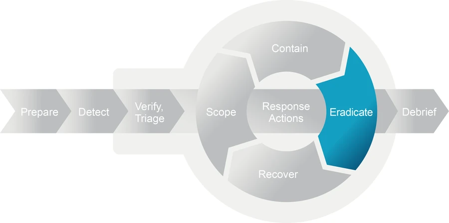 The model with the Eradicate segment of the loop highlighted.